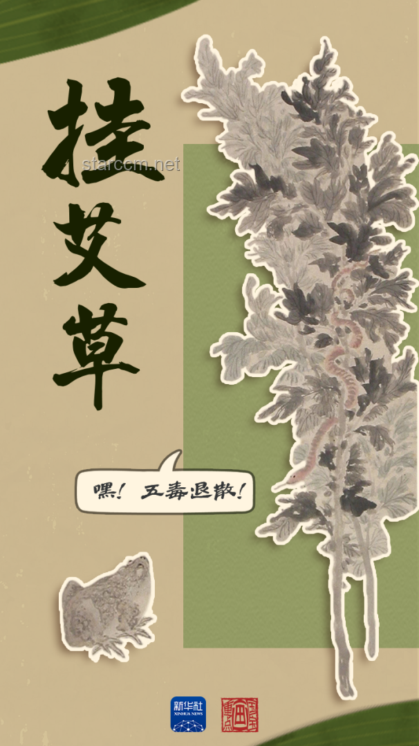 端午文化知多少：龙舟竞渡，艾草飘香